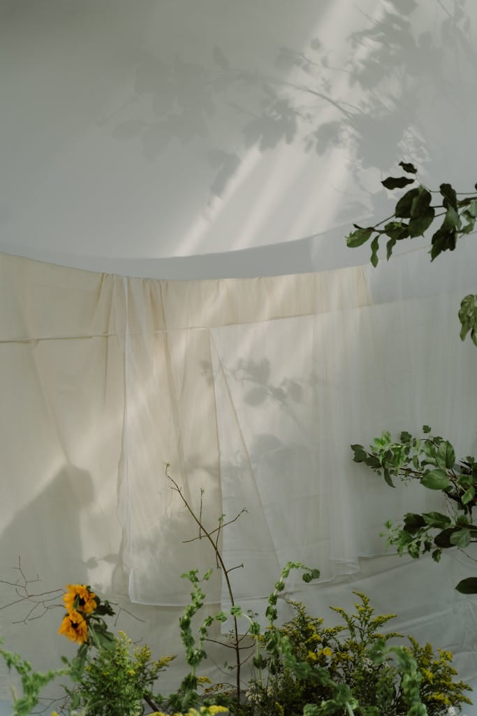 Sunlit plants casting intricate shadows on a sheer fabric backdrop indoors.