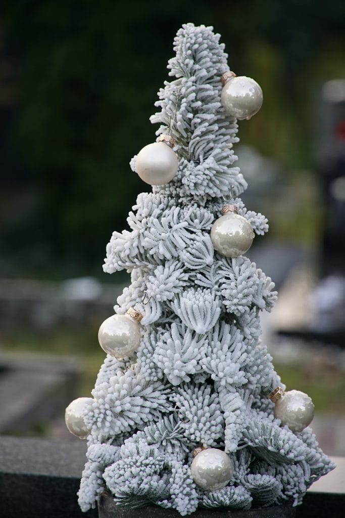 christmas, christmas tree, decoration, tiny christmas tree, outdoors, xmas, white christmas, ornaments, christmas decoration, christmas decor, decor, closeup